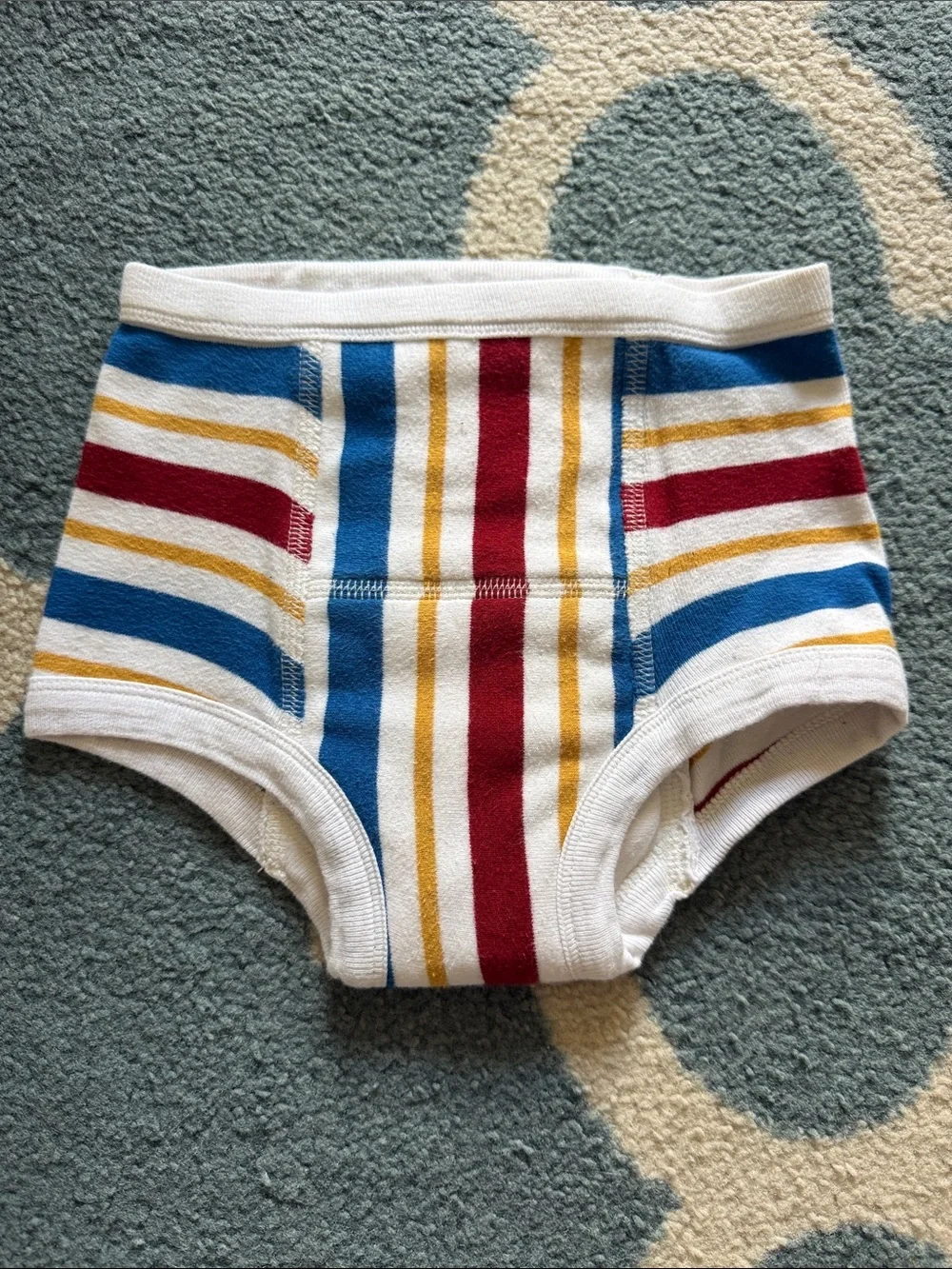 Hanna Andersson Boys Training Briefs Bundle